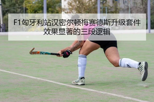 F1匈牙利站汉密尔顿梅赛德斯升级套件效果显著的三段逻辑